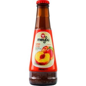 CAM ŞİŞE MEYVE SULARI
