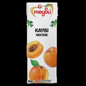 KAYISI NEKTAR 200CC 6 ADET 